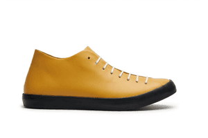 MSM-Promise-Pulse-10