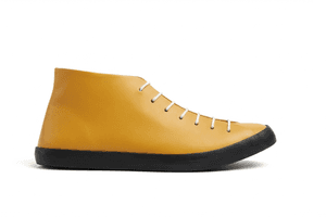 MDO-Promise-Pulse-69